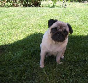 Visita a España y vuelta!!