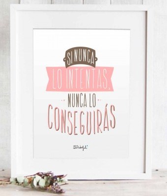 lámina mr wonderful