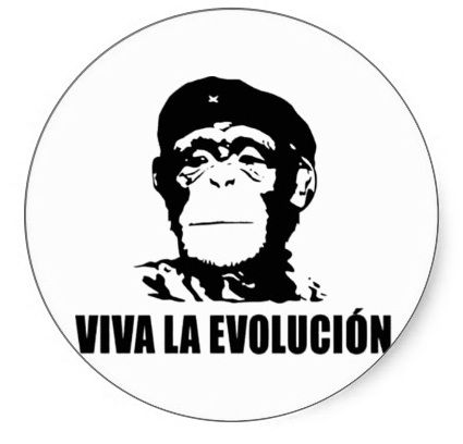 Mi teoría de la evolución