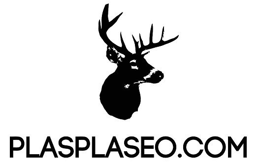 plasplaseo logo