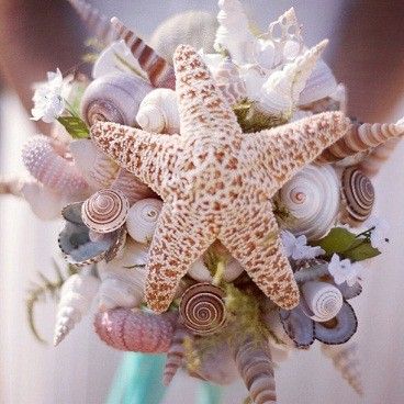 ramo novia mar estrella conchas by ronparksphotography